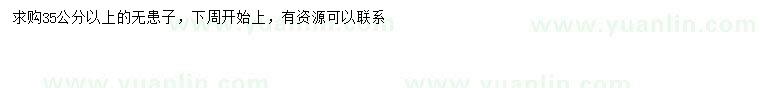 求購(gòu)35公分以上無(wú)患子