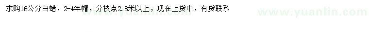 求購16公分白蠟