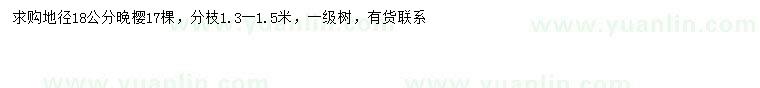 求購(gòu)地徑18公分晚櫻