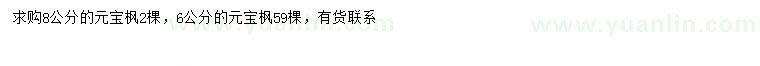 求購6、8公分元寶楓