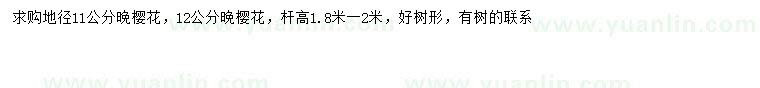 求購(gòu)地徑11、12公分晚櫻