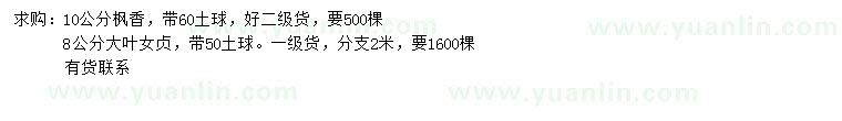 求購(gòu)8公分大葉女貞、10公分楓香