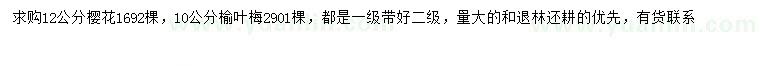 求購10公分榆葉梅、12公分櫻花
