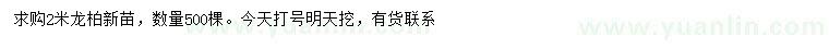 求購(gòu)2米龍柏