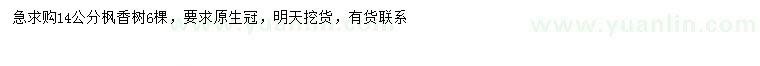 求購14公分楓香