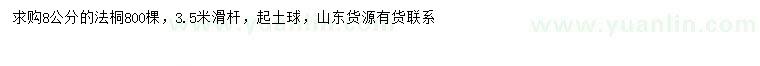 求購8公分法桐