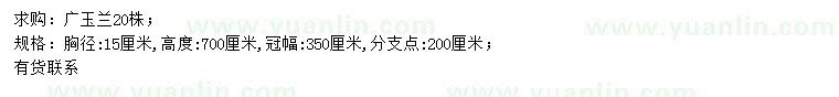 求購胸徑15公分廣玉蘭