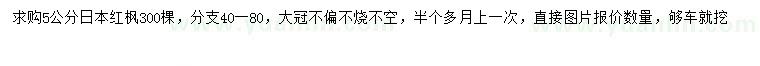 求購5公分日本紅楓
