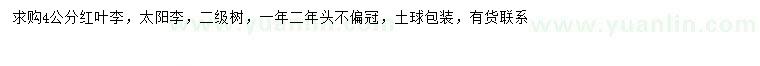 求購(gòu)4公分紅葉李、太陽(yáng)李