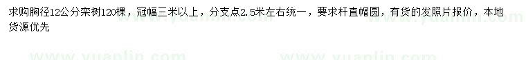 求購胸徑12公分欒樹