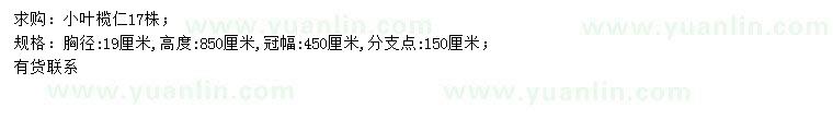 求購胸徑19公分小葉欖仁