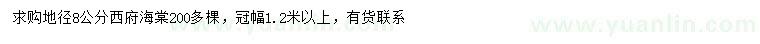 求購地徑8公分西府海棠
