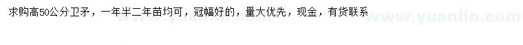 求購(gòu)高50公分衛(wèi)矛