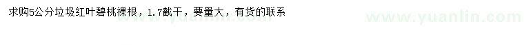 求購(gòu)5公分紅葉碧桃