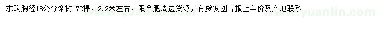求購胸徑18公分欒樹