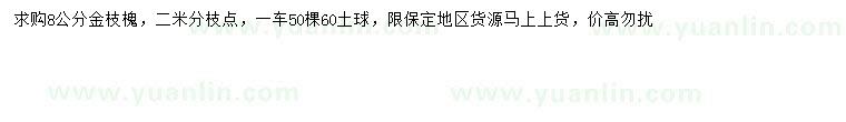 求購(gòu)8公分金枝槐