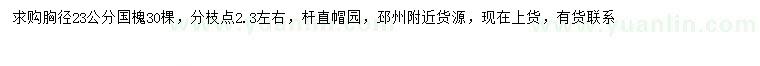 求購胸徑23公分國槐