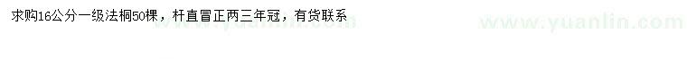 求購16公分法桐