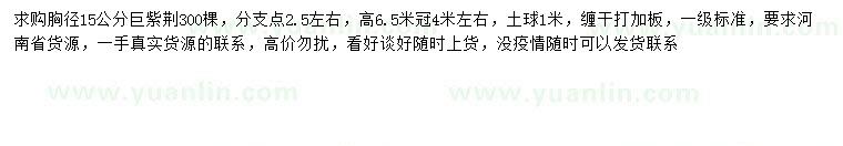 求購胸徑15公分巨紫荊