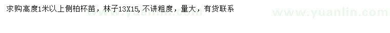 求購高1米以上側(cè)柏