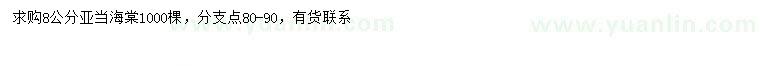求購8公分亞當(dāng)海棠
