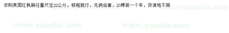 求購(gòu)胸徑22公分美國(guó)紅楓