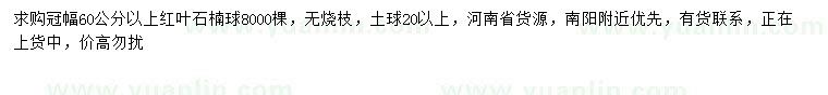 求購(gòu)冠幅60公分以上紅葉石楠球