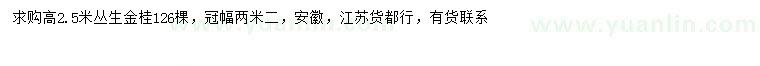 求購(gòu)高2.5米叢生金桂