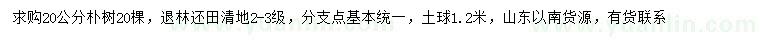 求購20公分樸樹