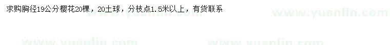 求購胸徑19公分櫻花