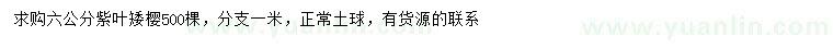 求購6公分紫葉矮櫻