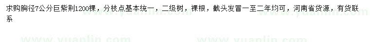 求購(gòu)胸徑7公分巨紫荊