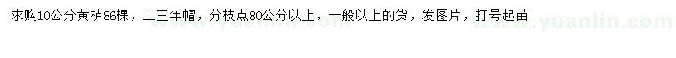 求購(gòu)10公分黃櫨