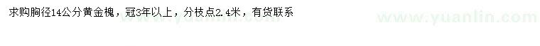 求購(gòu)胸徑14公分黃金槐