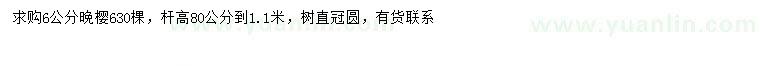 求購6公分晚櫻