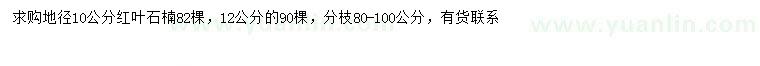 求購地徑10、12公分紅葉石楠