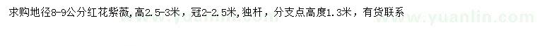 求購地徑8-9公分紅花紫薇