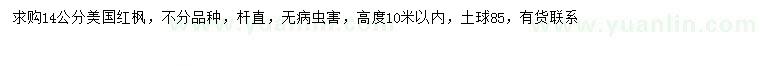 求購14公分美國紅楓