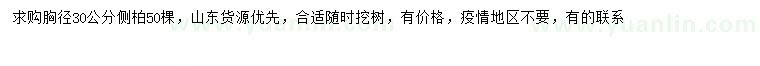 求購胸徑30公分側(cè)柏