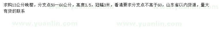 求購13公分晚櫻
