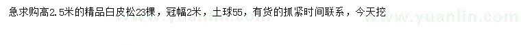 求購高2.5米白皮松