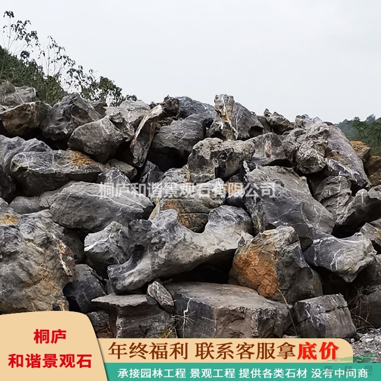 浙江園林景觀石 英石直銷 天然英德石 點綴石景觀