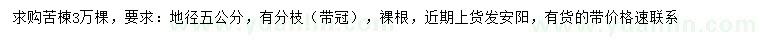 求購(gòu)地徑5公分苦楝