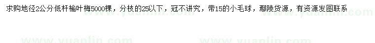 求購(gòu)地徑2公分榆葉梅