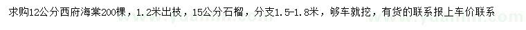 求購(gòu)12公分西府海棠、15公分石榴