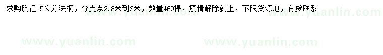求購胸徑15公分法桐