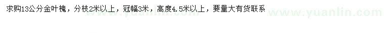 求購13公分金葉槐