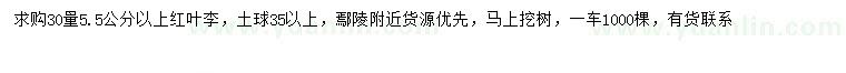 求購30量5.5公分以上紅葉李