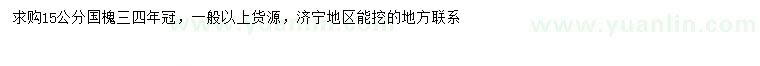 求購(gòu)15公分國(guó)槐