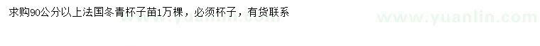 求購90公分以上法國冬青